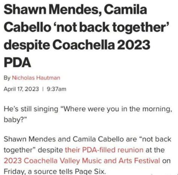Shawn Mendes & Camila Cabello Joke About Making ‘Organic Slime’ After Winning Kids’ Choice Award