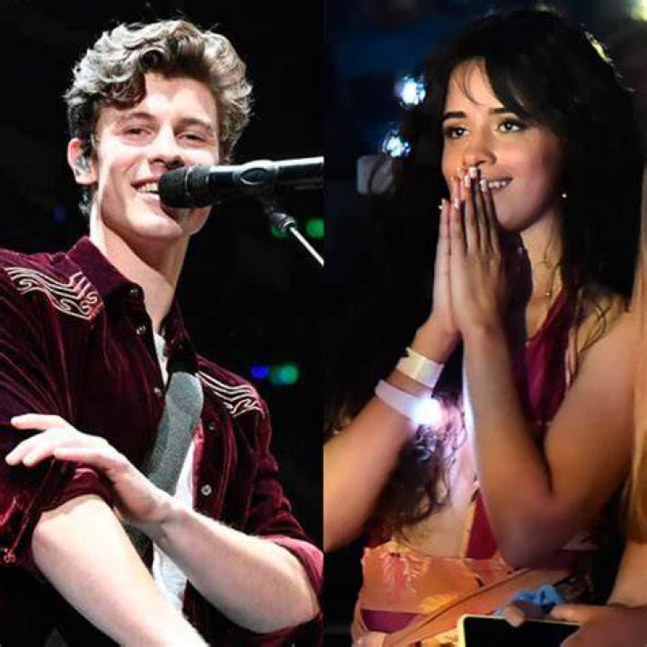 Shawn Mendes Reveals: ‘I Did Raise My Voice At’ Camila Cabello During A Recent Fight — Watch