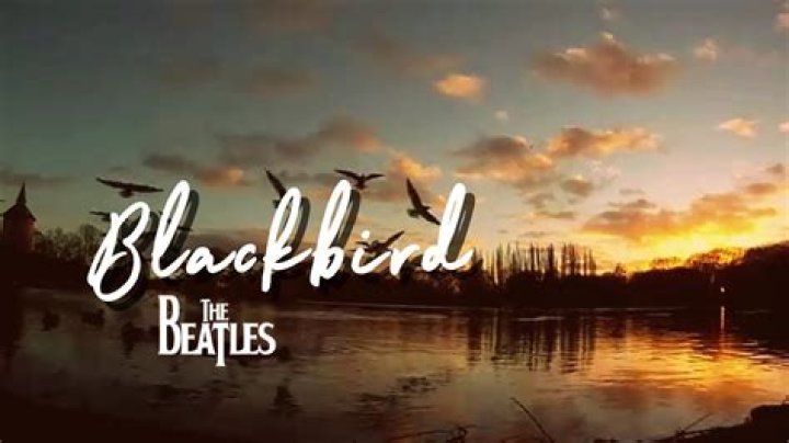 Stormi Webster Sings ‘Blackbird’ By The Beatles: Video – Hollywood Life