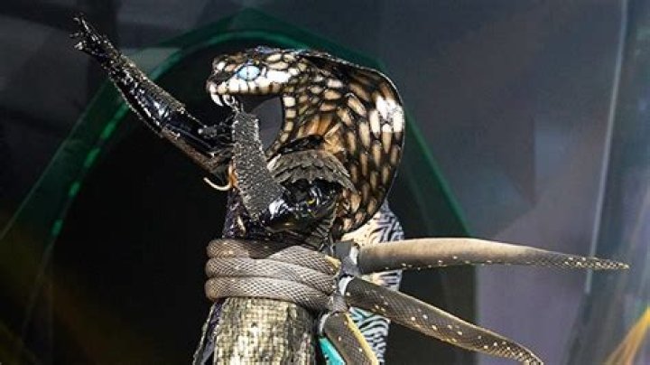 ‘The Masked Singer’: The Top Clues About The Celebrity Behind The Serpent