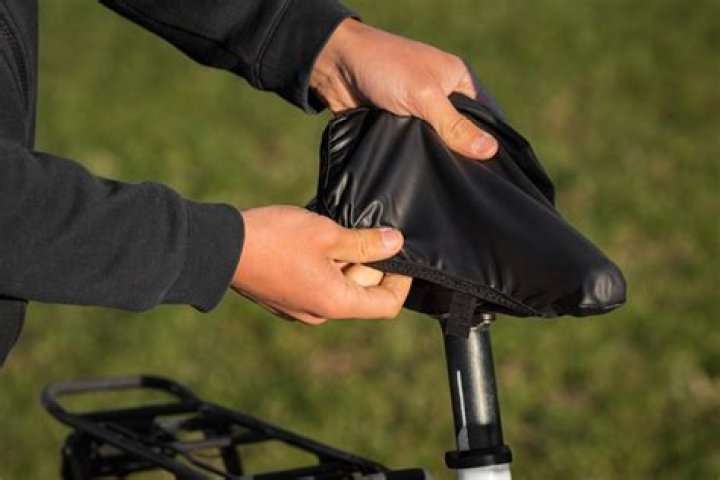 Top Bike Seat Covers of 2024 – Reviews by Hollywood Life – Hollywood Life
