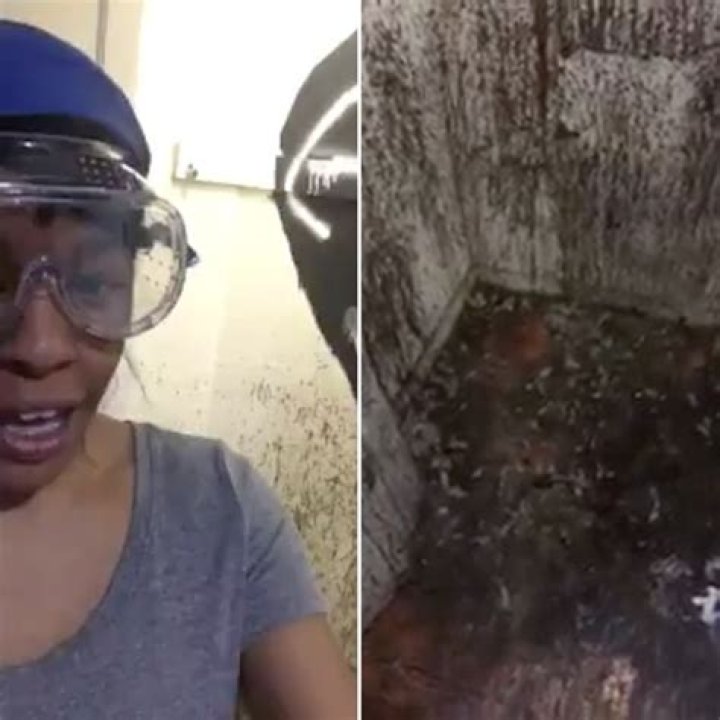 [VIDEO] Azealia Banks Sacrificing Chickens — See Blood & Feather Covered Closet – Hollywood Life