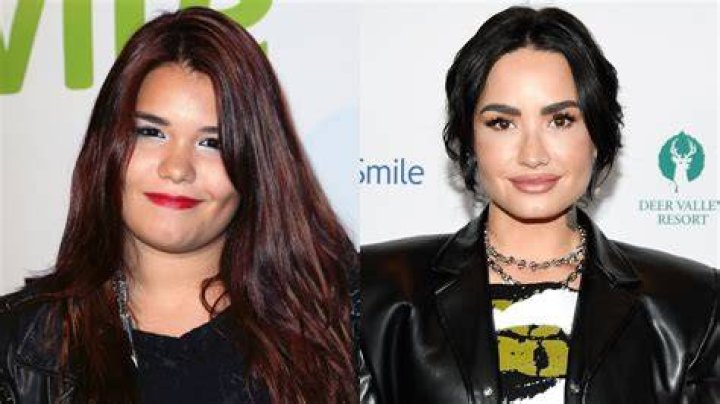 Who Is Dallas Lovato? 5 Things About Demi Lovato’s Sister – Hollywood Life