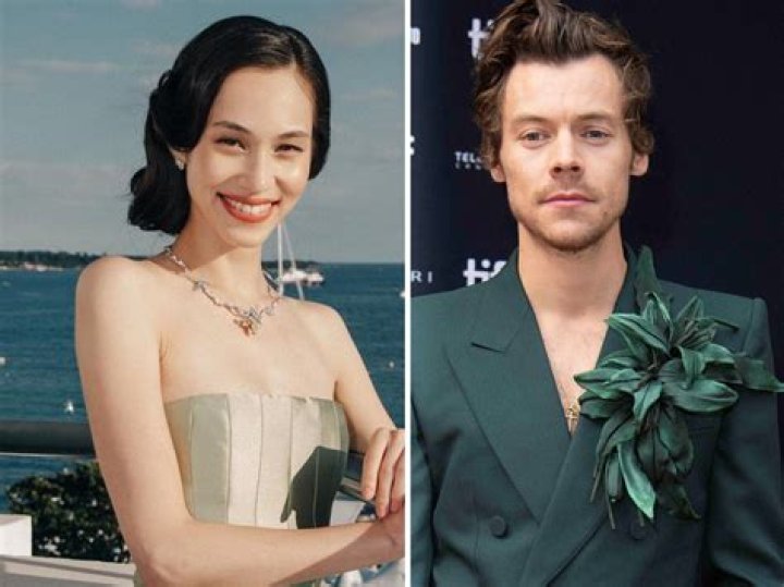 Who Is Kiko Mizuhara? 5 Things About Model Linked To Harry Styles – Hollywood Life