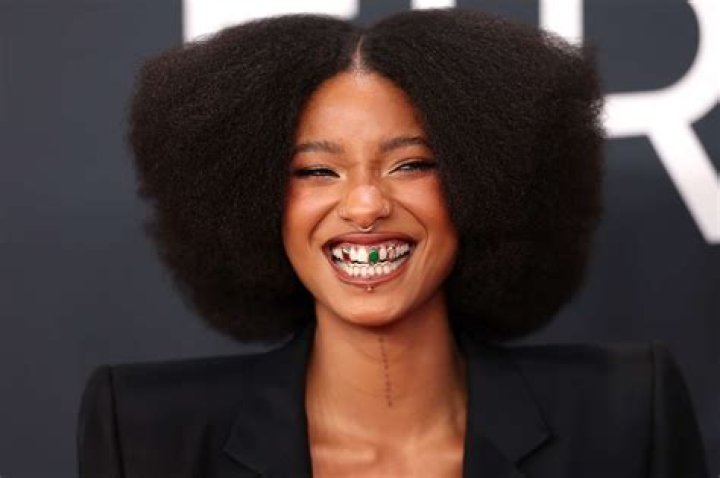 Willow Smith, 20, Shows Off Massive Hand Tattoo After Shaving Her Head In Concert – Photo