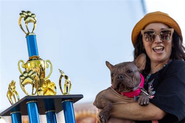 World’s Ugliest Dog Contest — See Pics